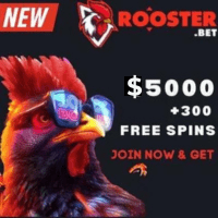 Rooster Bet Casino - Top Casino